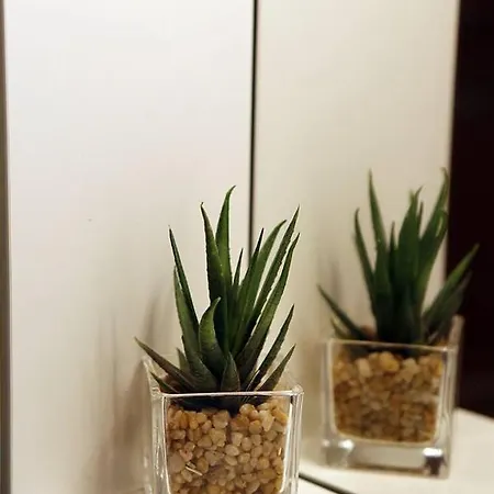 Amerikon Braco Apartment *
